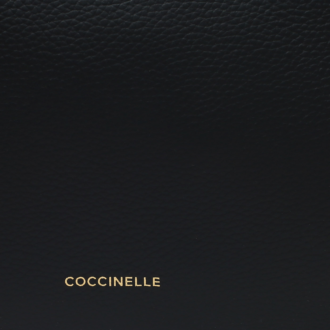 Кожаная сумка Coccinelle Boheme Grana Double